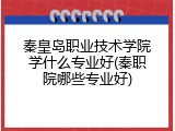 秦皇岛职业技术学院学什么专业好(秦职院哪些专业好)