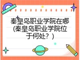 秦皇岛职业学院在哪(秦皇岛职业学院位于何处？)