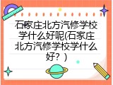 石家庄北方汽修学校学什么好呢(石家庄北方汽修学校学什么好？)