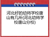 河北好的幼师学校唐山有几所(河北幼师学校唐山分校)