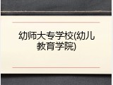 幼师大专学校(幼儿教育学院)