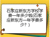 石家庄新东方学校学费一年多少钱(石家庄新东方一年学费多少？)