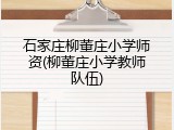 石家庄柳董庄小学师资(柳董庄小学教师队伍)