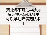 河北哪里可以学幼师清苑技术(河北哪里可以学幼师清苑技术)