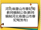 河北省唐山市曹妃甸教师编制公告(教师编制河北省唐山市曹妃甸发布)
