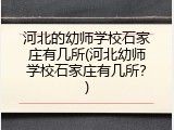河北的幼师学校石家庄有几所(河北幼师学校石家庄有几所？)