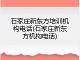 石家庄新东方培训机构电话(石家庄新东方机构电话)