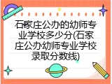 石家庄公办的幼师专业学校多少分(石家庄公办幼师专业学校录取分数线)