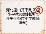 河北唐山开平荆各庄小学教师编制(河北开平荆各庄小学教师编制)