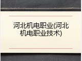 河北机电职业(河北机电职业技术)