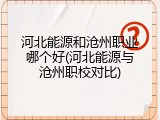 河北能源和沧州职业哪个好(河北能源与沧州职校对比)