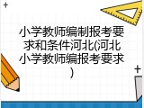 小学教师编制报考要求和条件河北(河北小学教师编报考要求)