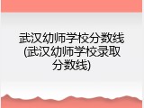 武汉幼师学校分数线(武汉幼师学校录取分数线)