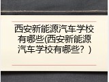 西安新能源汽车学校有哪些(西安新能源汽车学校有哪些？)