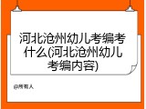 河北沧州幼儿考编考什么(河北沧州幼儿考编内容)
