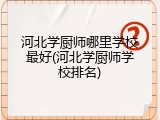 河北学厨师哪里学校最好(河北学厨师学校排名)
