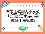 石家庄编制内小学教师工资(石家庄小学教师工资标准)