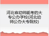 河北省幼师能考的大专公办学校(河北幼师公办大专院校)