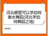 河北哪里可以学幼师衡水舞蹈(河北学幼师舞蹈之地)
