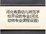河北青县幼儿师范学校开设的专业(河北幼师专业课程设置)