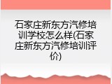 石家庄新东方汽修培训学校怎么样(石家庄新东方汽修培训评价)