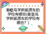秦皇岛学新能源车的学校有哪些(秦皇岛学新能源车的学校有哪些？)