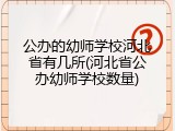 公办的幼师学校河北省有几所(河北省公办幼师学校数量)
