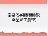 秦皇岛学厨师到哪(秦皇岛学厨技)