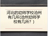 河北的幼师学校沧州有几所(沧州幼师学校有几所？)