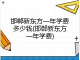 邯郸新东方一年学费多少钱(邯郸新东方一年学费)