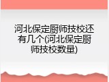 河北保定厨师技校还有几个(河北保定厨师技校数量)