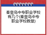 秦皇岛中专职业学校有几个(秦皇岛中专职业学校数量)