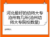 河北最好的幼师大专沧州有几所(沧州幼师大专院校数量)
