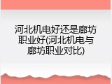 河北机电好还是廊坊职业好(河北机电与廊坊职业对比)