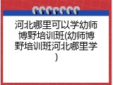 河北哪里可以学幼师博野培训班(幼师博野培训班河北哪里学)