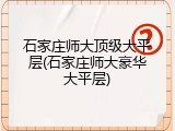 石家庄师大顶级大平层(石家庄师大豪华大平层)