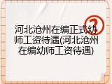 河北沧州在编正式幼师工资待遇(河北沧州在编幼师工资待遇)