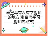 秦皇岛有没有学厨师的地方(秦皇岛学习厨师的地方)