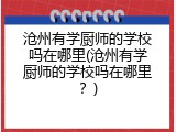 沧州有学厨师的学校吗在哪里(沧州有学厨师的学校吗在哪里？)
