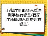 石家庄新能源汽修培训学校有哪些(石家庄新能源汽修培训有哪些)