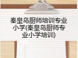 秦皇岛厨师培训专业小学(秦皇岛厨师专业小学培训)