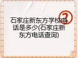 石家庄新东方学校电话是多少(石家庄新东方电话查询)