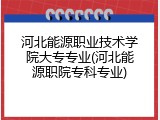 河北能源职业技术学院大专专业(河北能源职院专科专业)