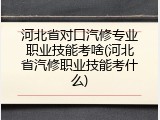 河北省对口汽修专业职业技能考啥(河北省汽修职业技能考什么)