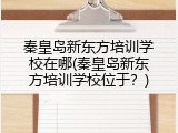 秦皇岛新东方培训学校在哪(秦皇岛新东方培训学校位于？)