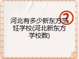 河北有多少新东方烹饪学校(河北新东方学校数)
