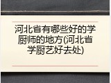 河北省有哪些好的学厨师的地方(河北省学厨艺好去处)