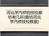 河北学汽修的技校廊坊有几所(廊坊河北学汽修技校数量)