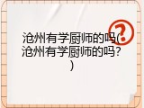 沧州有学厨师的吗(沧州有学厨师的吗？)