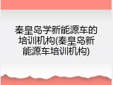 秦皇岛学新能源车的培训机构(秦皇岛新能源车培训机构)